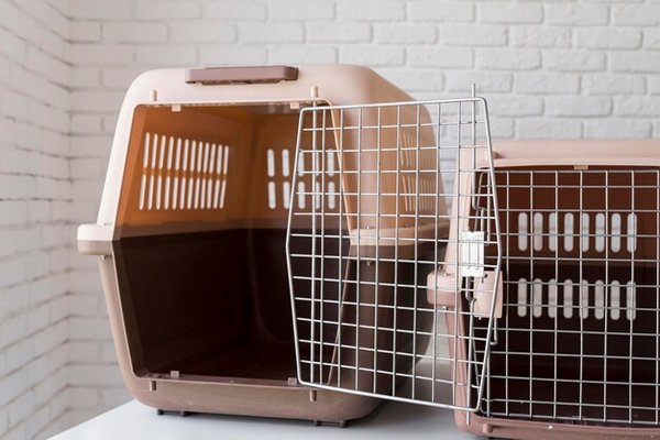 Comment trouver la cage parfaite pour votre cochon d'Inde ?